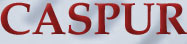 logo CASPUR