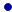 pallino